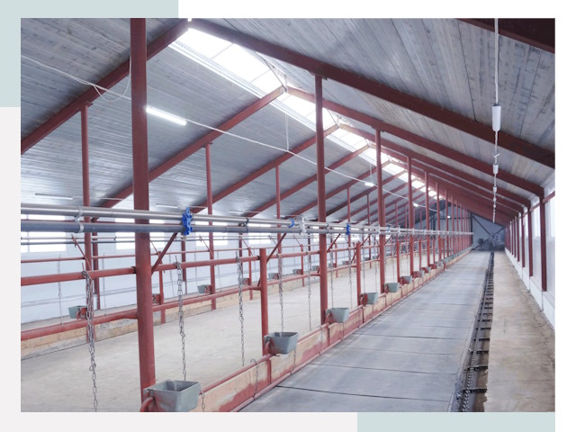 Строительство коровников в Устях-Куте от 618 руб.