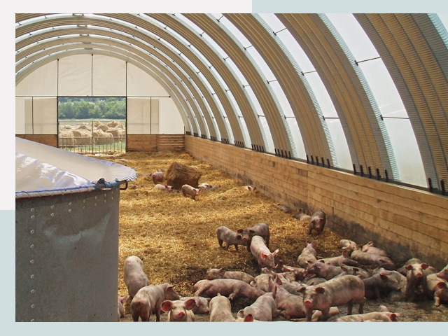 Строительство свинарников в Устях-Куте