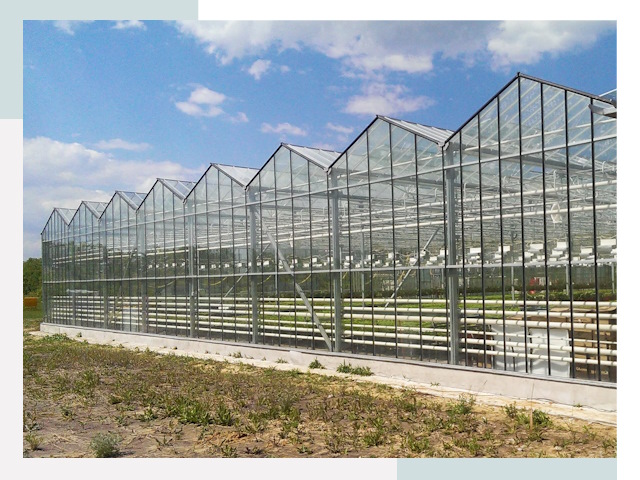 Строительство теплиц в Усть-Кут от 618 руб. за м²