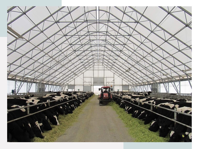 Тентовые коровники в Устях-Куте от 618 руб. - Надежно и доступно