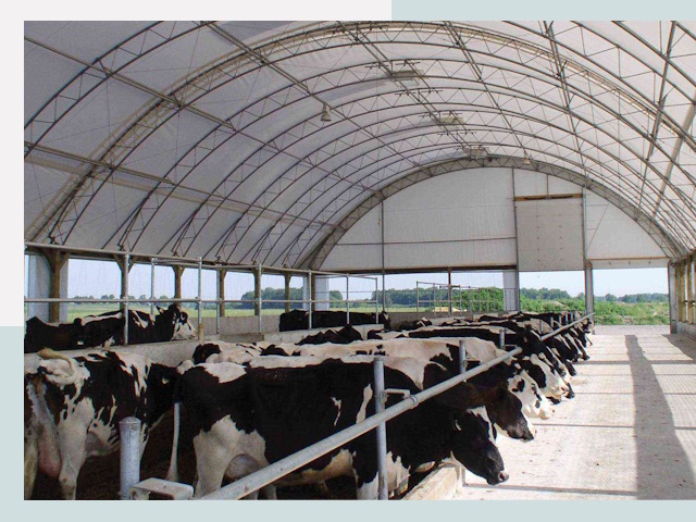 Тентовые коровники в Устях-Куте